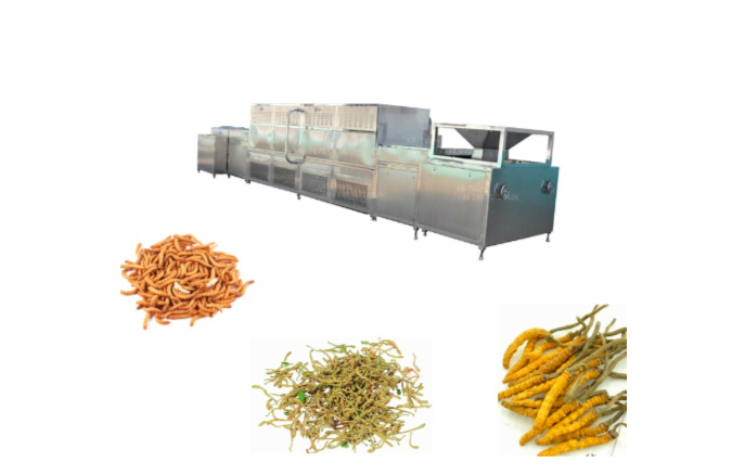 Insect drying machine